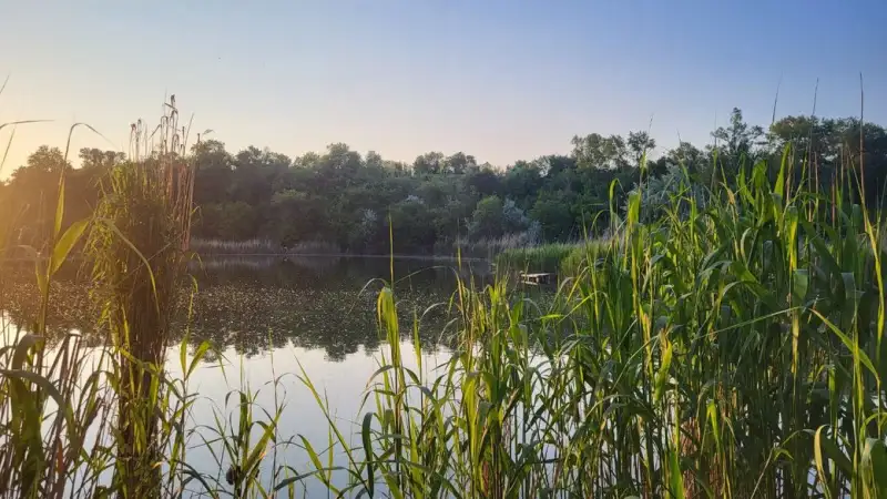 Подвійна трагедія у Барвінковому: у забороненій для купання водоймі загинули чоловік і жінка Подвійна трагедія у Барвінковому: у забороненій для купання водоймі загинули чоловік і жінка