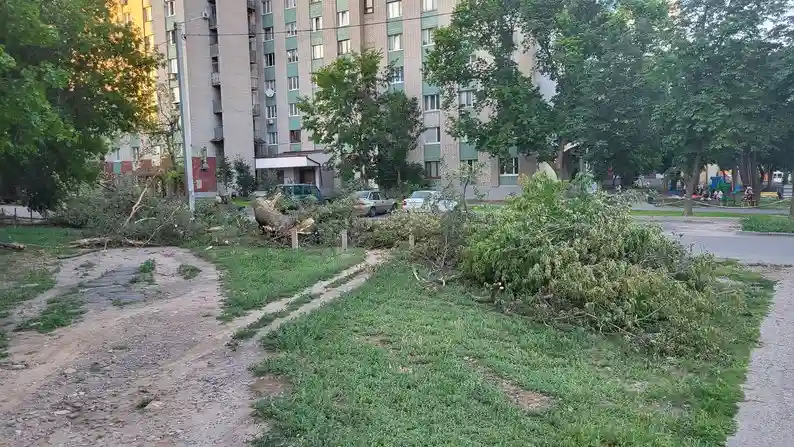 Світло повернулося в усі домівки Харківщини після буревію 12 липня Світло повернулося в усі домівки Харківщини після буревію 12 липня