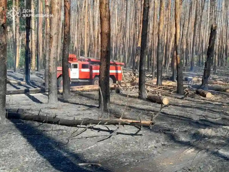 Вісім масштабних лісових пожеж на Харківщині: рятувальники борються з наслідками обстрілів Вісім масштабних лісових пожеж на Харківщині: рятувальники борються з наслідками обстрілів
